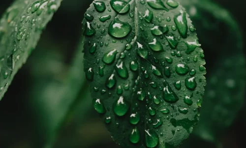 mark-olsen-m2cNS2FXuOk-unsplash_1500x